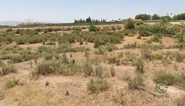 Spot image