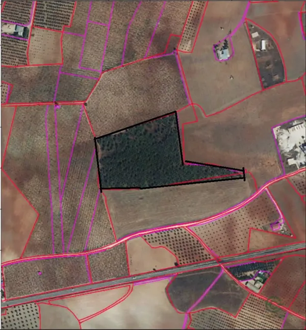 Spot image