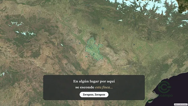 Spot image