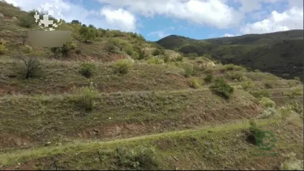 Spot image