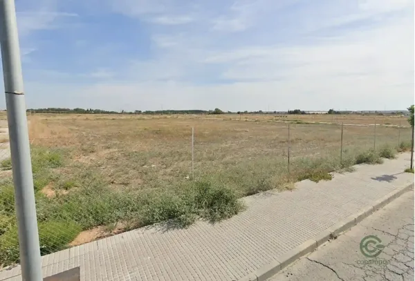 Spot image