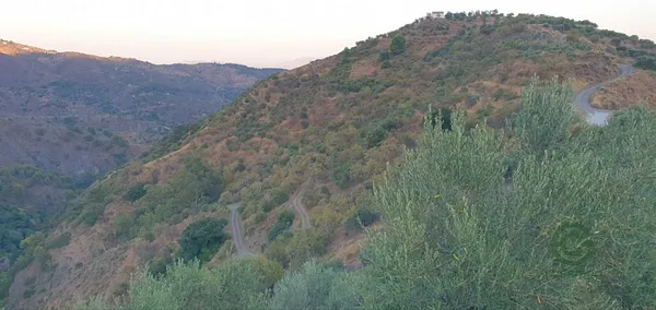 Finca agrícola de 5,4 ha en venta en Yunquera, Malaga