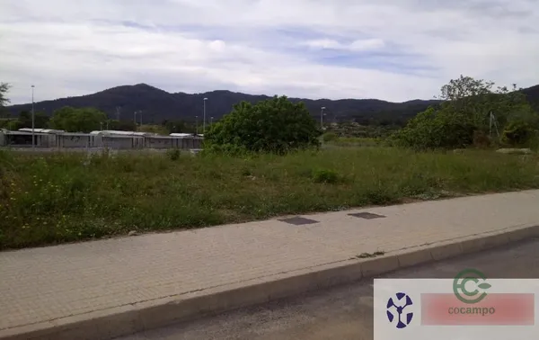 Spot image