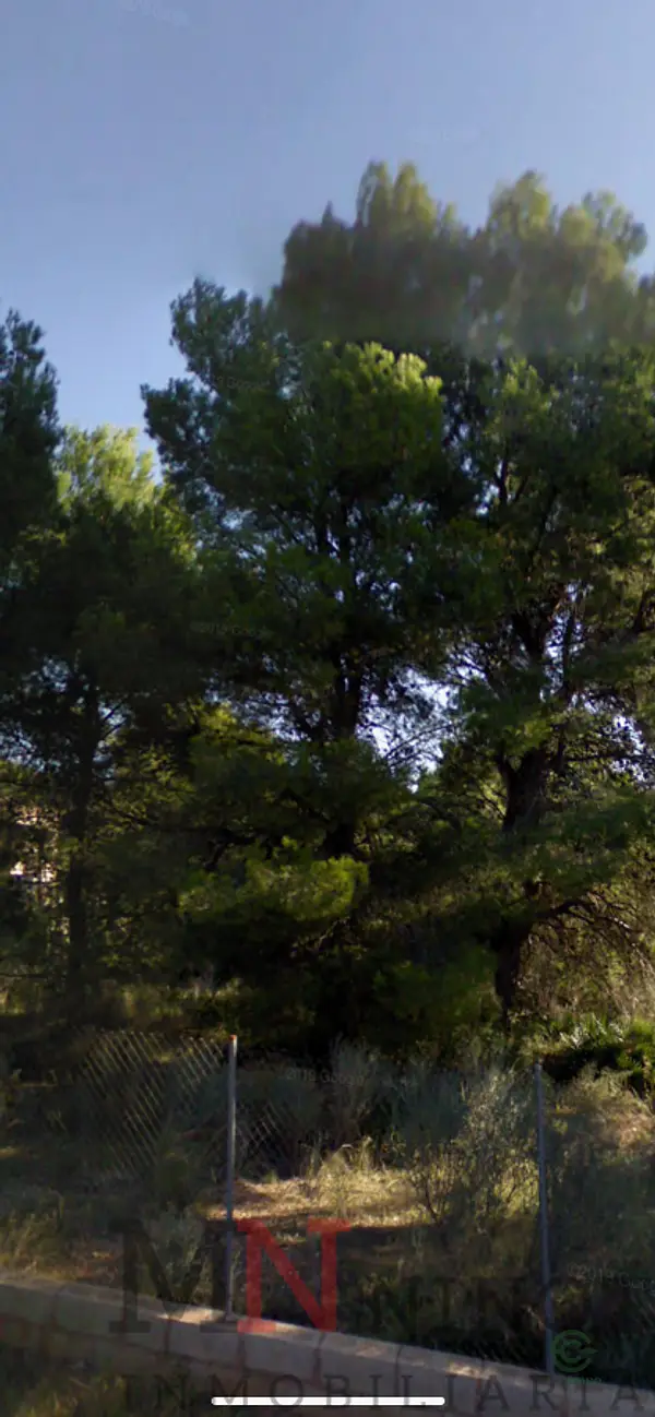 Spot image