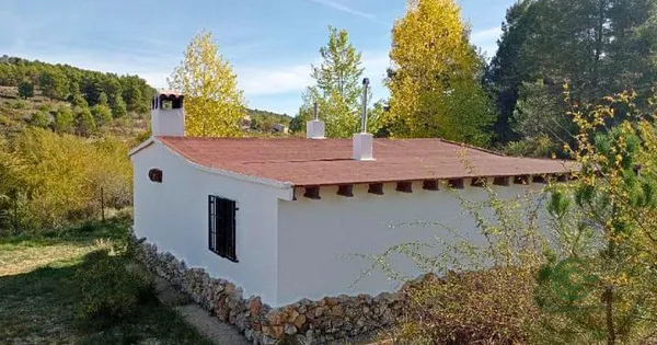 Spot image