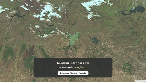 Spot image