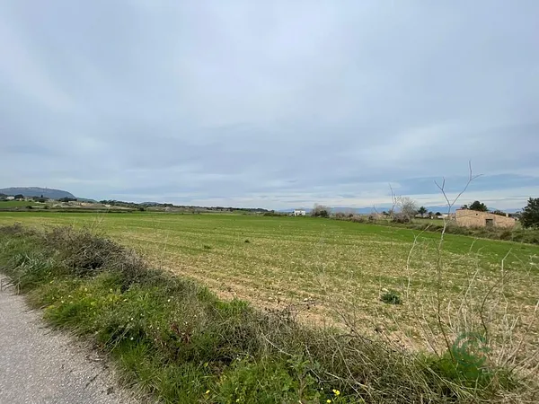 Spot image