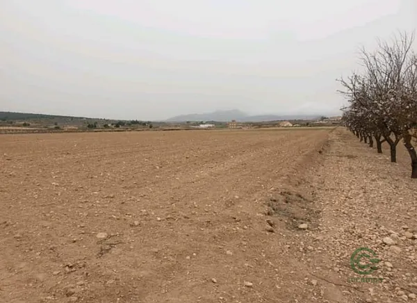 Spot image
