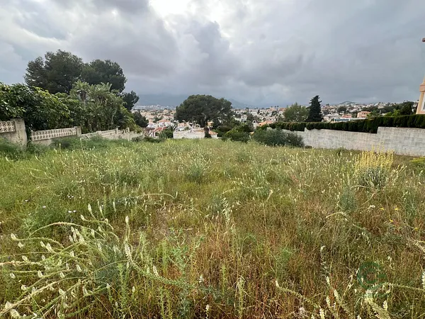 Spot image