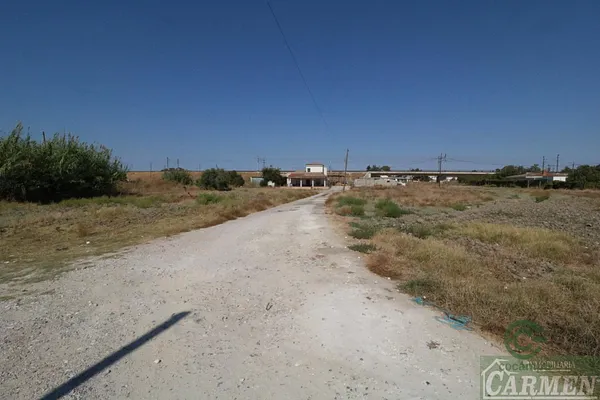 Spot image