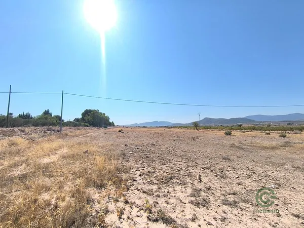 Spot image