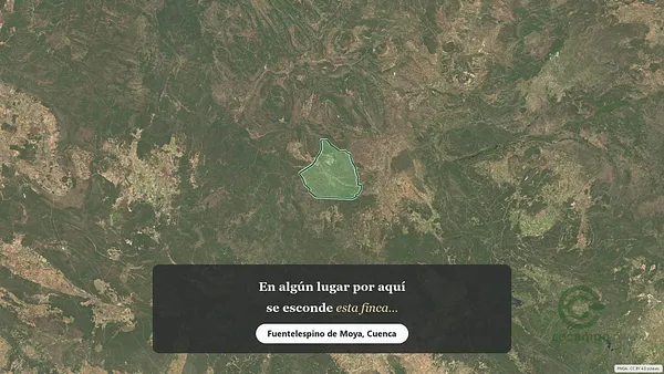 Spot image