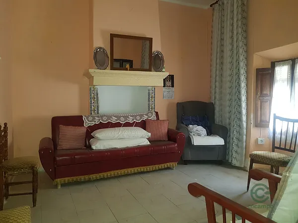 Spot image
