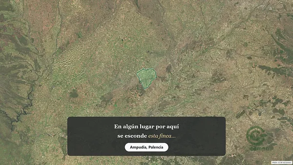 Spot image