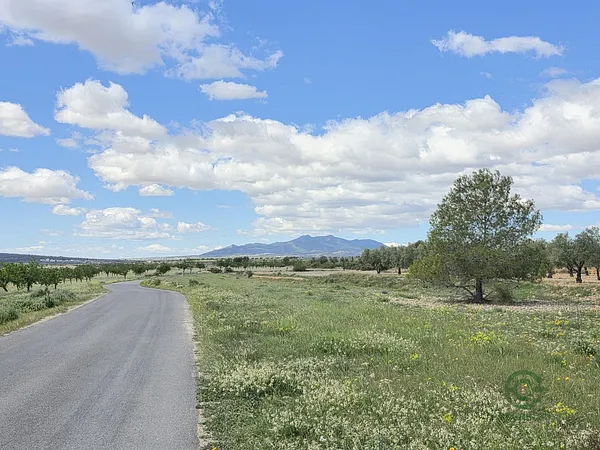 Spot image