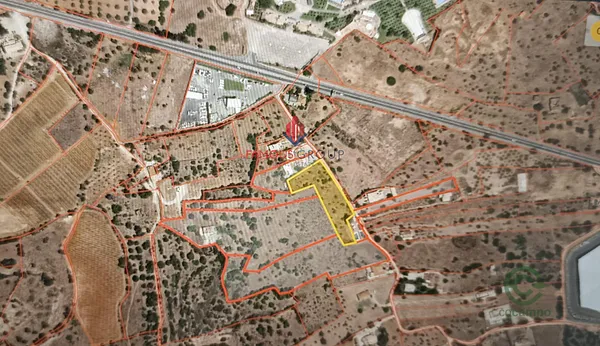 Spot image