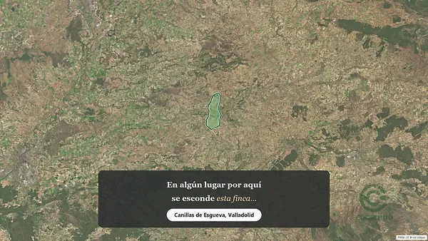 Spot image