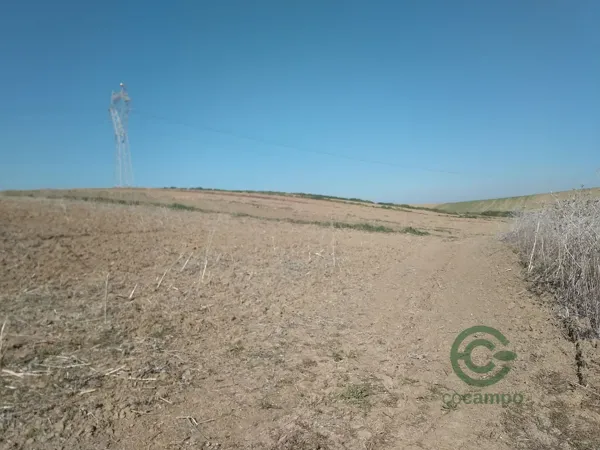 Finca agrícola de 1 ha en venta en Sevilla