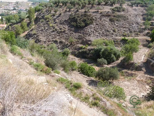 Finca rústica de 0,33 ha en venta en Serón, Almería