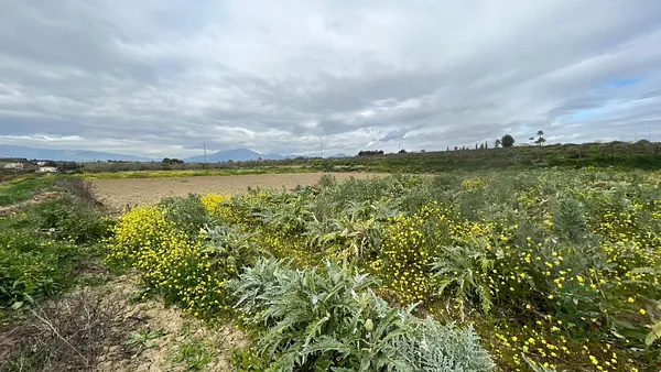 Finca rústica de 0,9055 ha en venta en Alhaurín el grande, Malaga