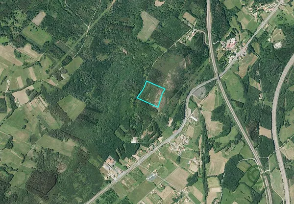 Spot image