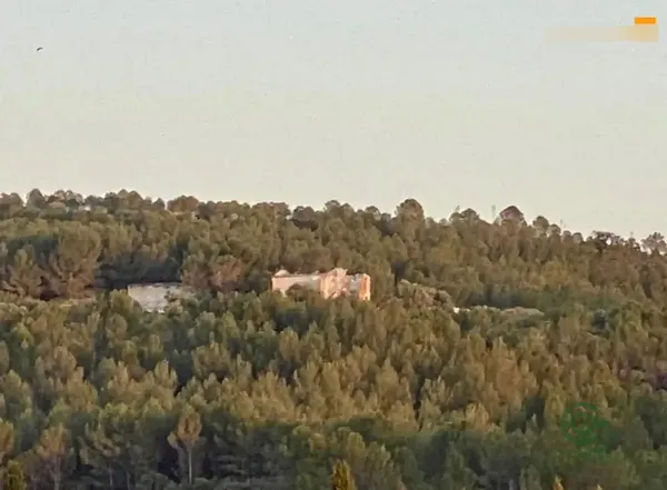 Spot image