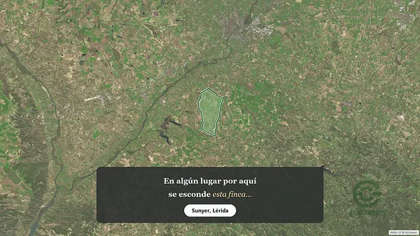 Spot image