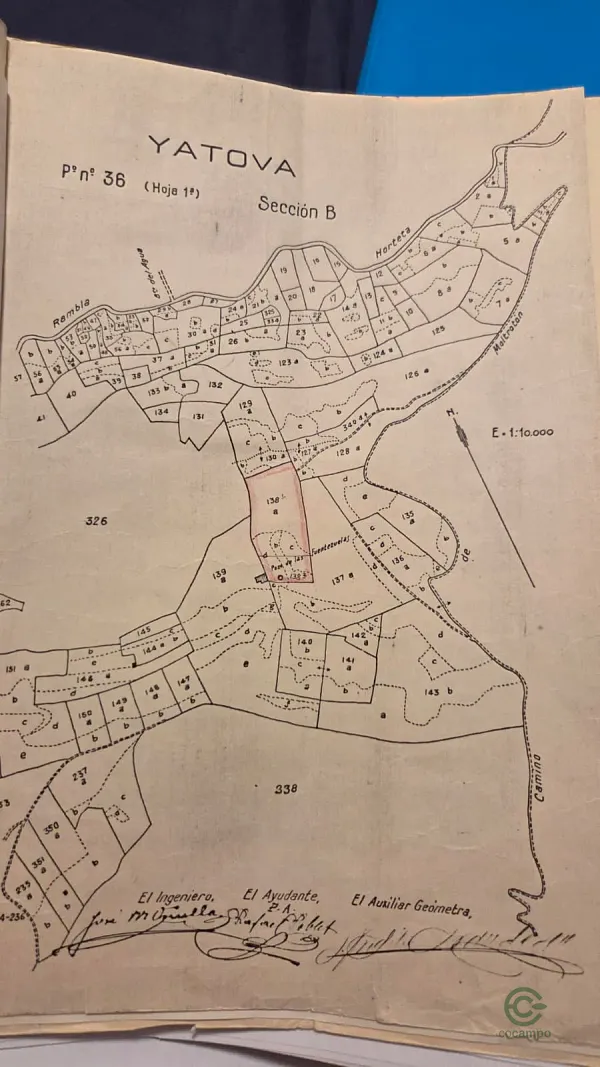 Spot image