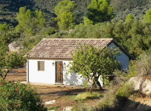 Spot image
