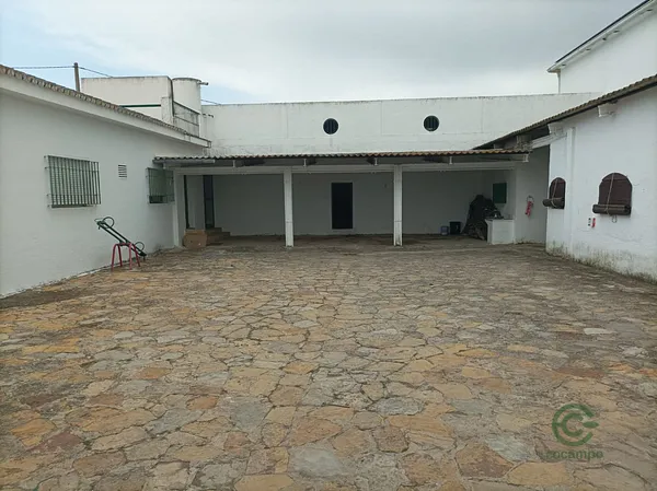 Spot image