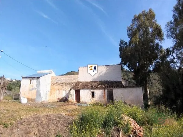 Spot image