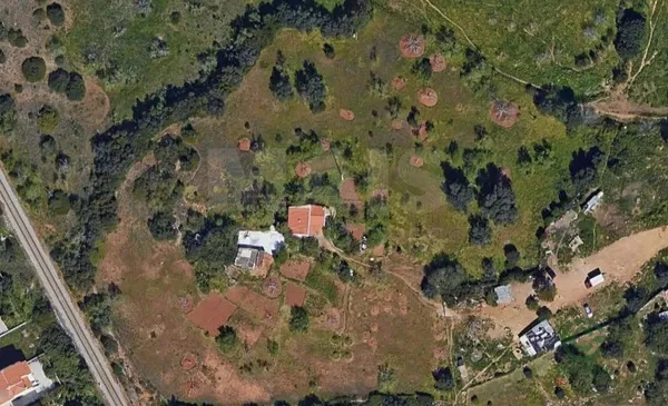 Spot image