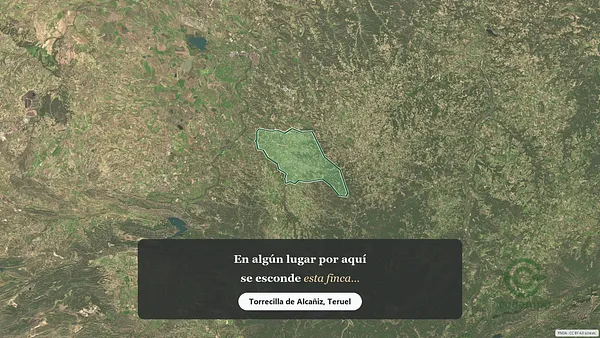 Spot image