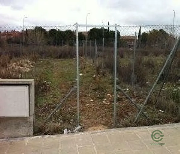 Spot image
