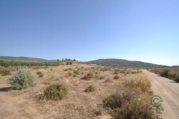 Spot image