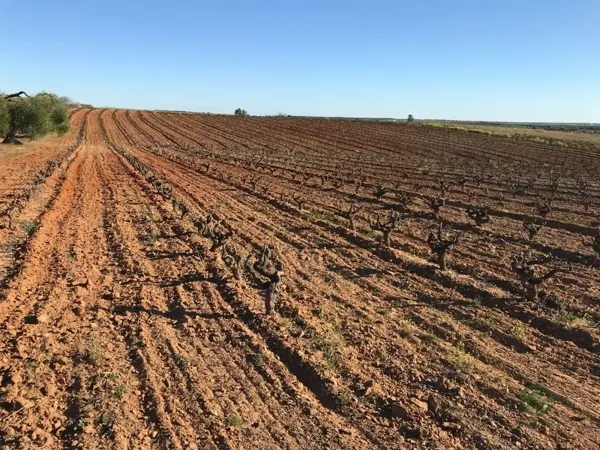 Finca agrícola de 2,3 ha en venta en Bollullos par del condado, Huelva