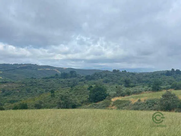 Finca rústica de 0,11 ha en venta en Saviñao, O, Lugo