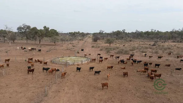 Finca rústica de 1675 ha en venta en Santiago del estero