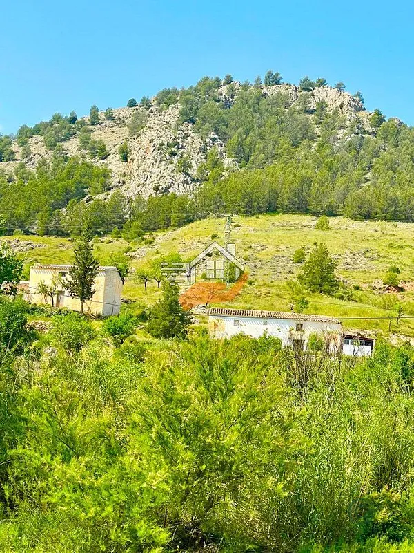 Spot image