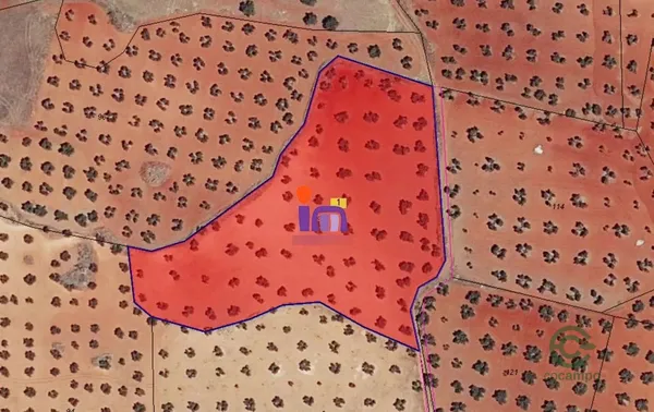 Finca agrícola de 0,7 ha en venta en Torrenueva, Ciudad real