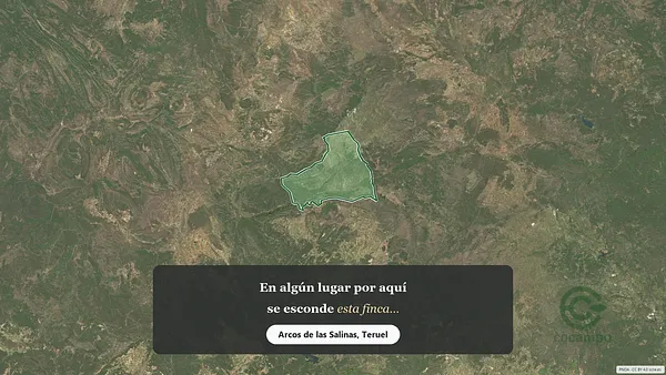 Spot image