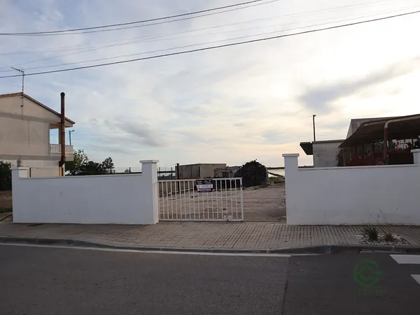 Spot image
