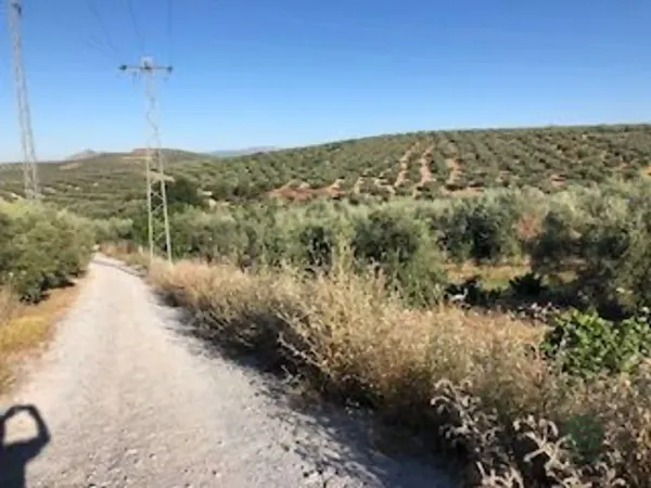 Spot image