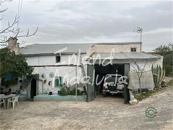 Spot image