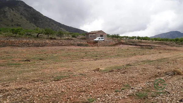 Spot image