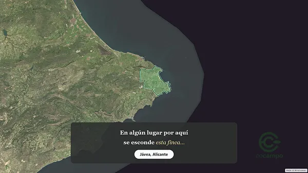 Spot image