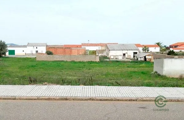 Spot image