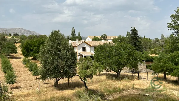 Spot image