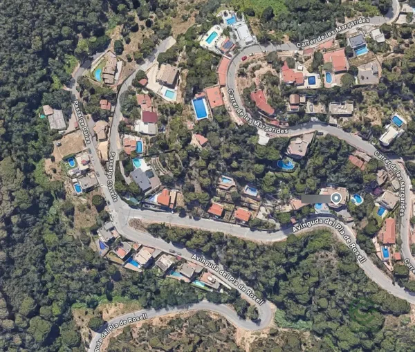 Spot image