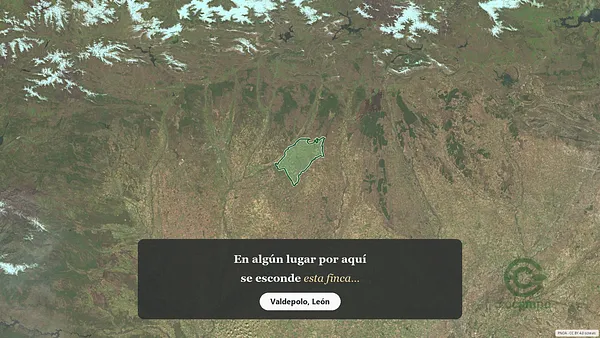 Spot image